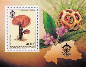 Ganoderma lucidum, Briefmarke aus Obervolta