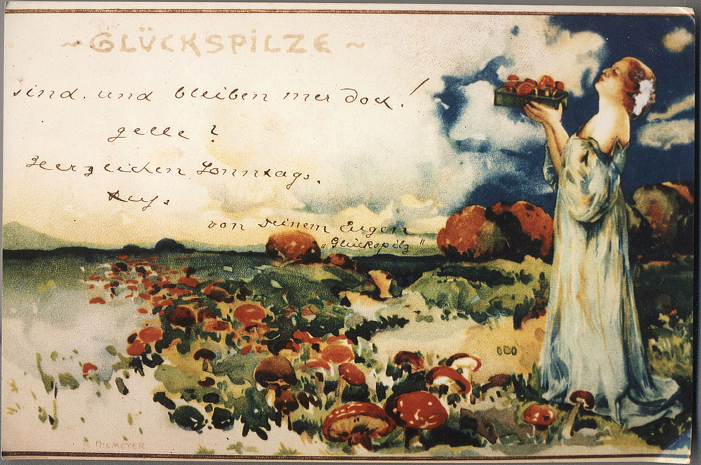 Der Fliegenpilz als Glückspilz auf einer Postkarte von 1899