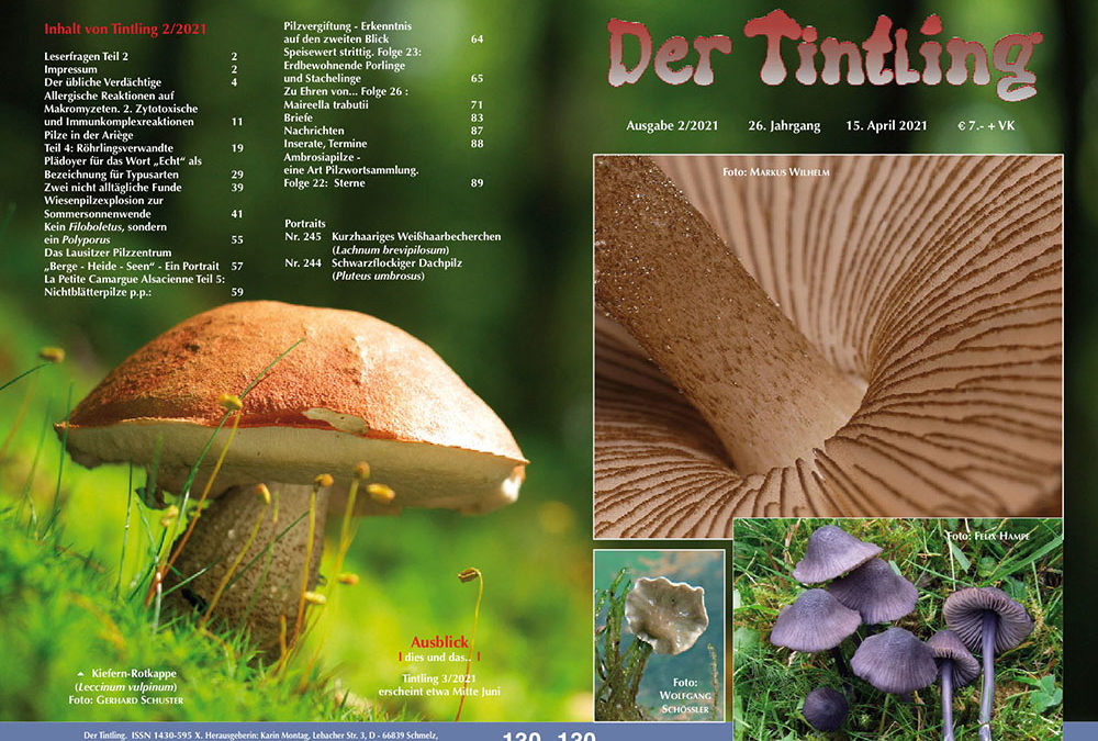 Tintling Nr. 130 (Ausgabe 2/2021)